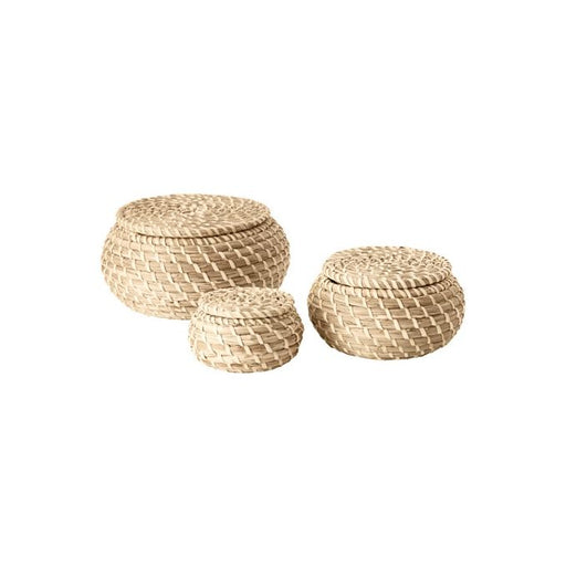 Boîtes avec couvercle (3 unités)