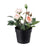 Plante Artificielle - Rose